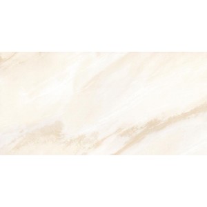 Gạch ốp tường Trường Thịnh WALL TILES TT36021